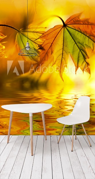 Picture of Bunte Ahornbltter in der Abendsonne mit Wasserspiegelung